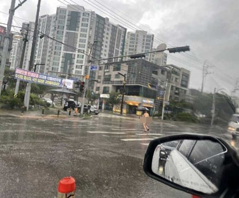 일명 “당진 나체남” 우산들고 무단횡단.. 근데 옷을 안입었어.. 뭔 상황이냐