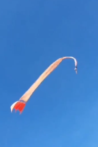 image-163-684x1024-1