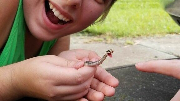 작고 귀여운 뱀을 발견하고 사진을 찍었는데.. 알고보니 엄청난 맹독을 가진 ‘블랙맘바’였음