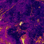 0001157354_002_20260416124210047