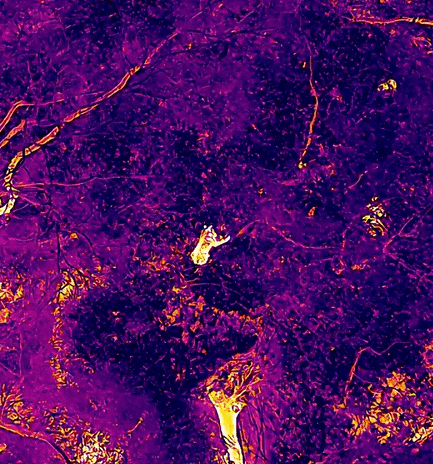 0001157354_002_20260416124210047