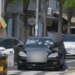 2026041609083264084_animated_0957240