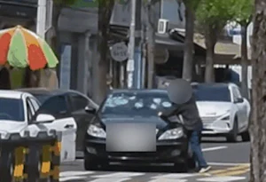 2026041609083264084_animated_0957240