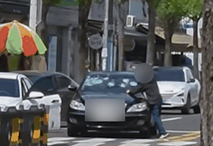 2026041609083264084_animated_0957240