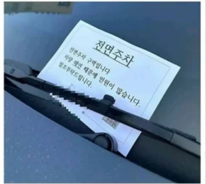 후방 주차 시 테슬라 관련 논란