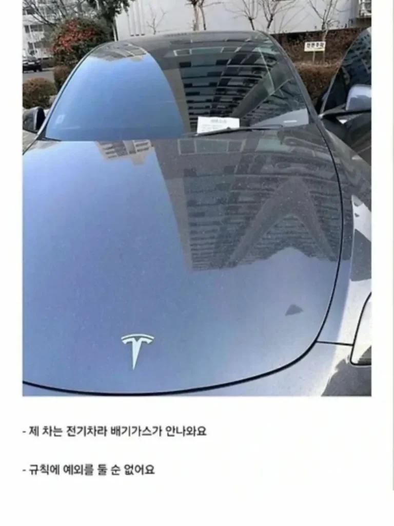 후방 주차 시 테슬라 관련 논란