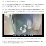 전 남자친구에게 65회 칼빵 당한 가수, 24세에 사망