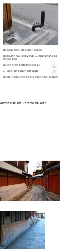 교토에서만 볼 수 있는 독특한 것들