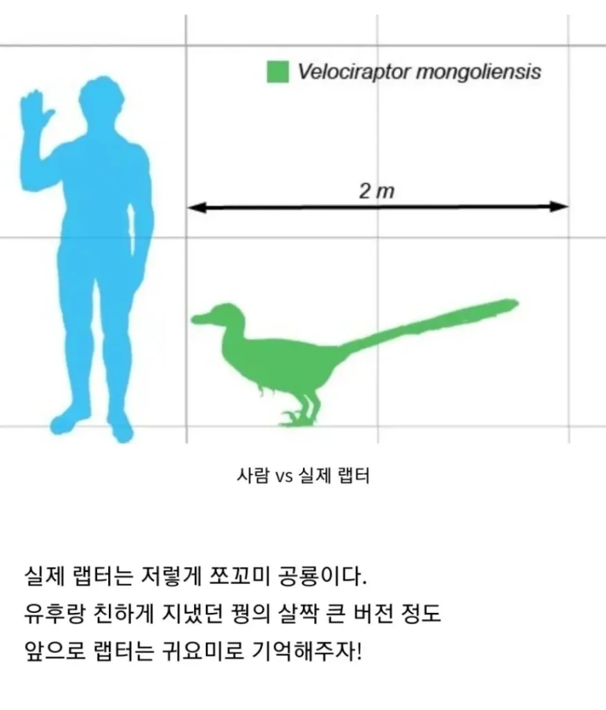 영화 랩터와 실제 랩터 비교