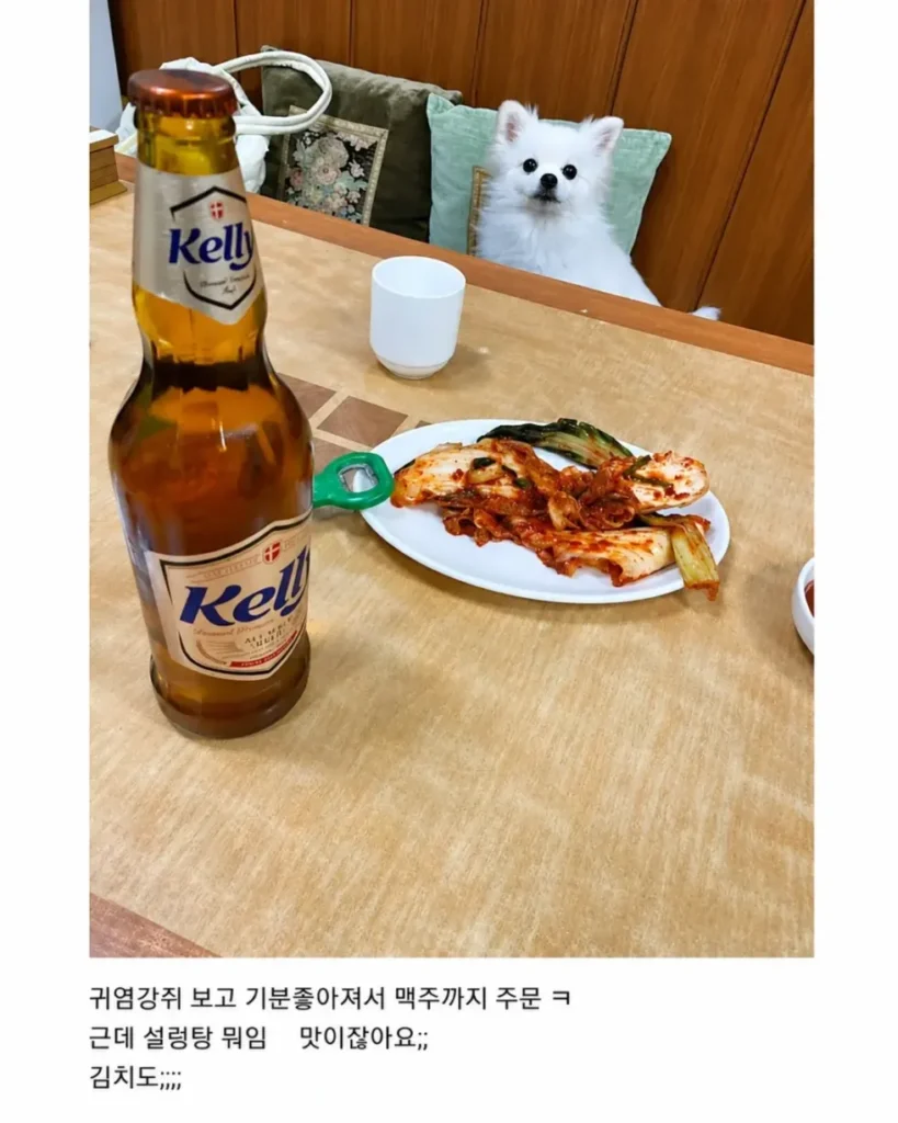 혼밥할 때 강아지가 옆에 앉아주는 식당