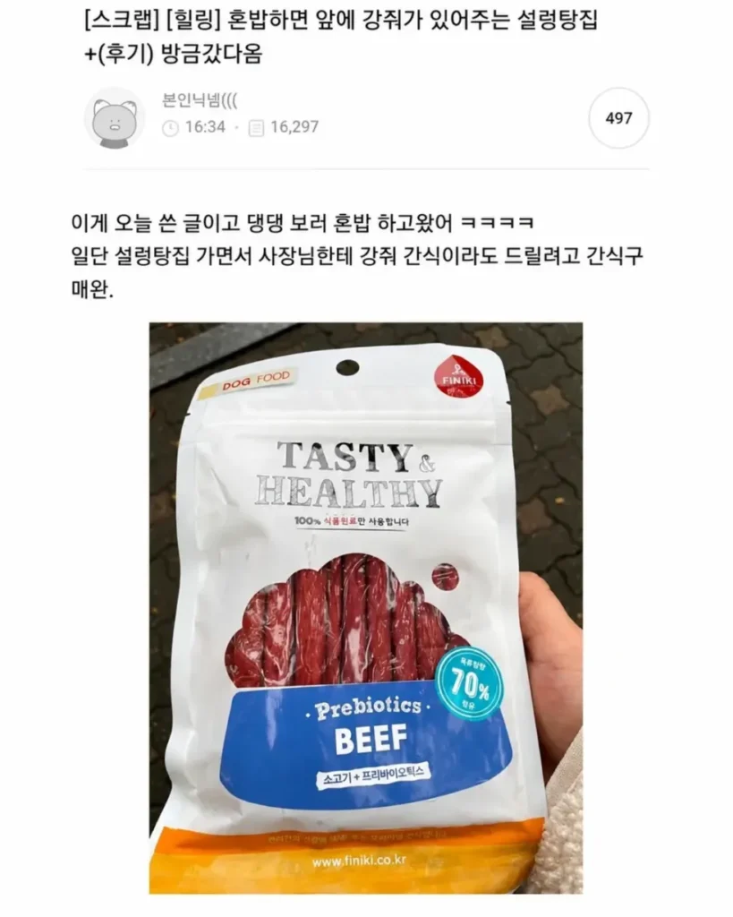 혼밥할 때 강아지가 옆에 앉아주는 식당