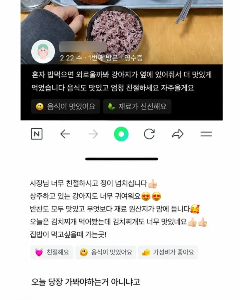 혼밥할 때 강아지가 옆에 앉아주는 식당