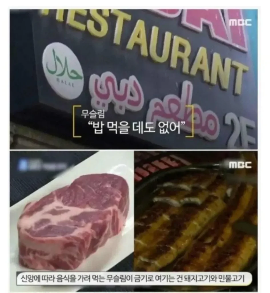 무슬림들이 생각하는 한국