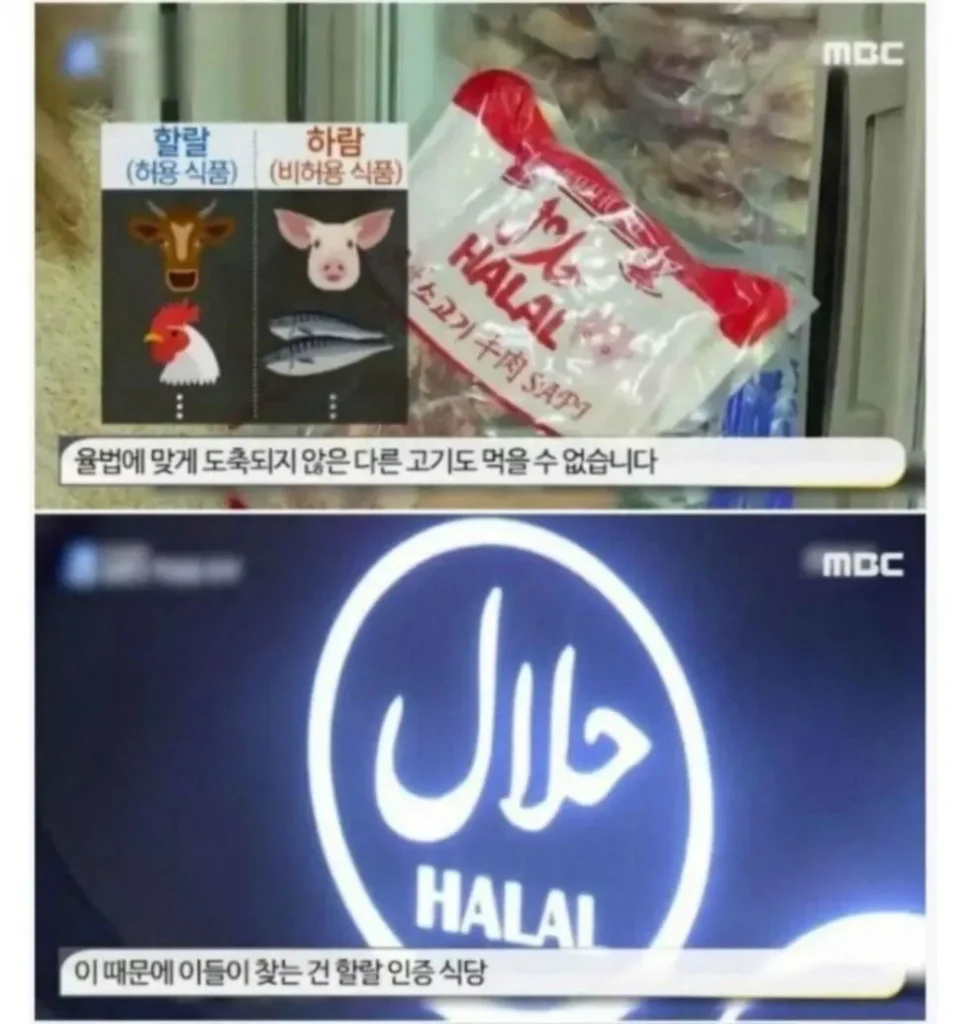 무슬림들이 생각하는 한국
