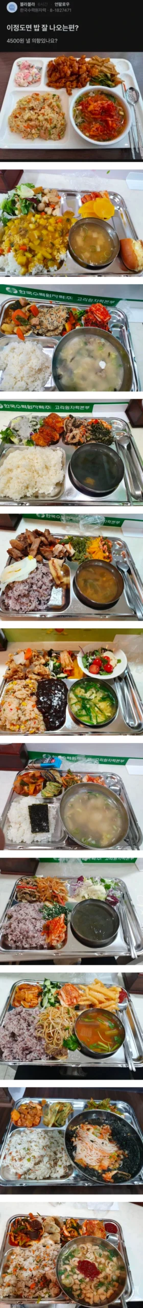 한국수력원자력, 4500원 점심 식사