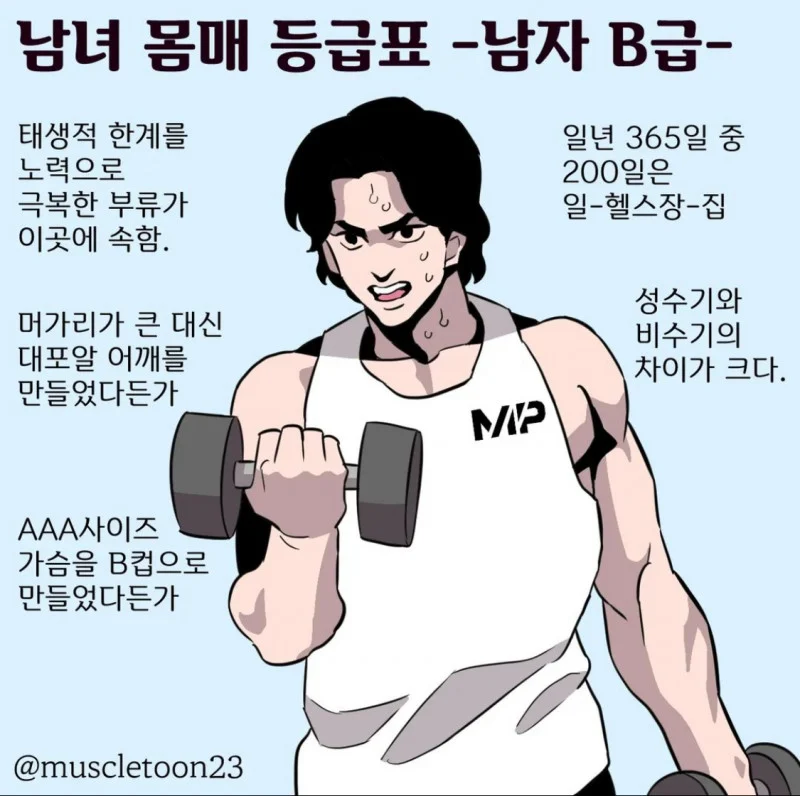 남녀 몸매 등급표 A부터 D까지