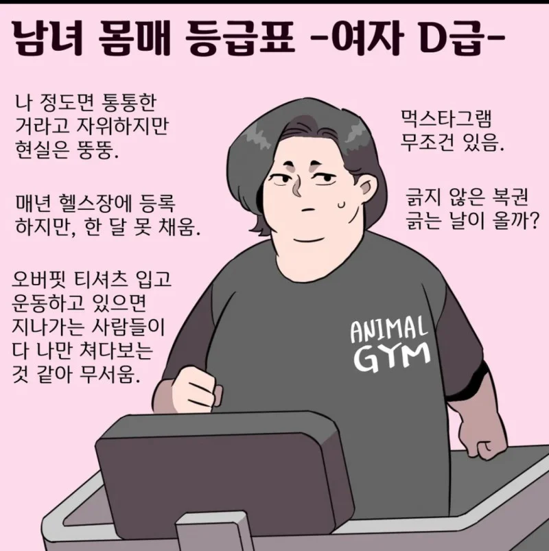 남녀 몸매 등급표 A부터 D까지