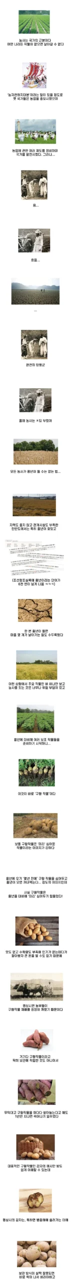 구황작물, 그 위엄을 논하다