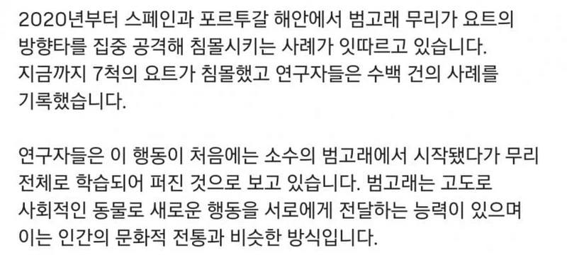 최근 인간을 공격하는 동물들에 대한 이야기.jpg