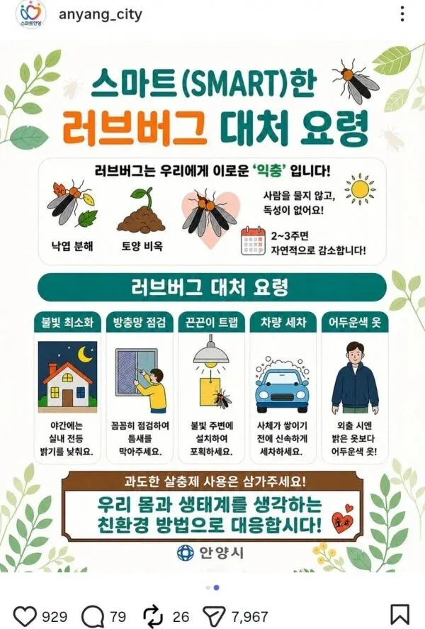 안양시, '러브버그 포스터' 게시 후 논란으로 게시물 철회