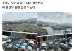 오션뷰 기대하고 호텔 예약했는데