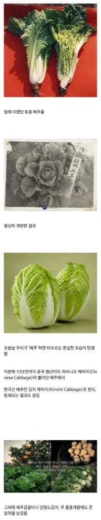 다윈 진화론을 수정한 과학자, 그는 친일파의 아들이었다