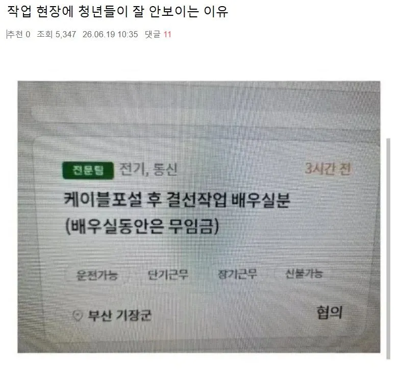 작업 현장에 청년들이 잘 안보이는 이유.