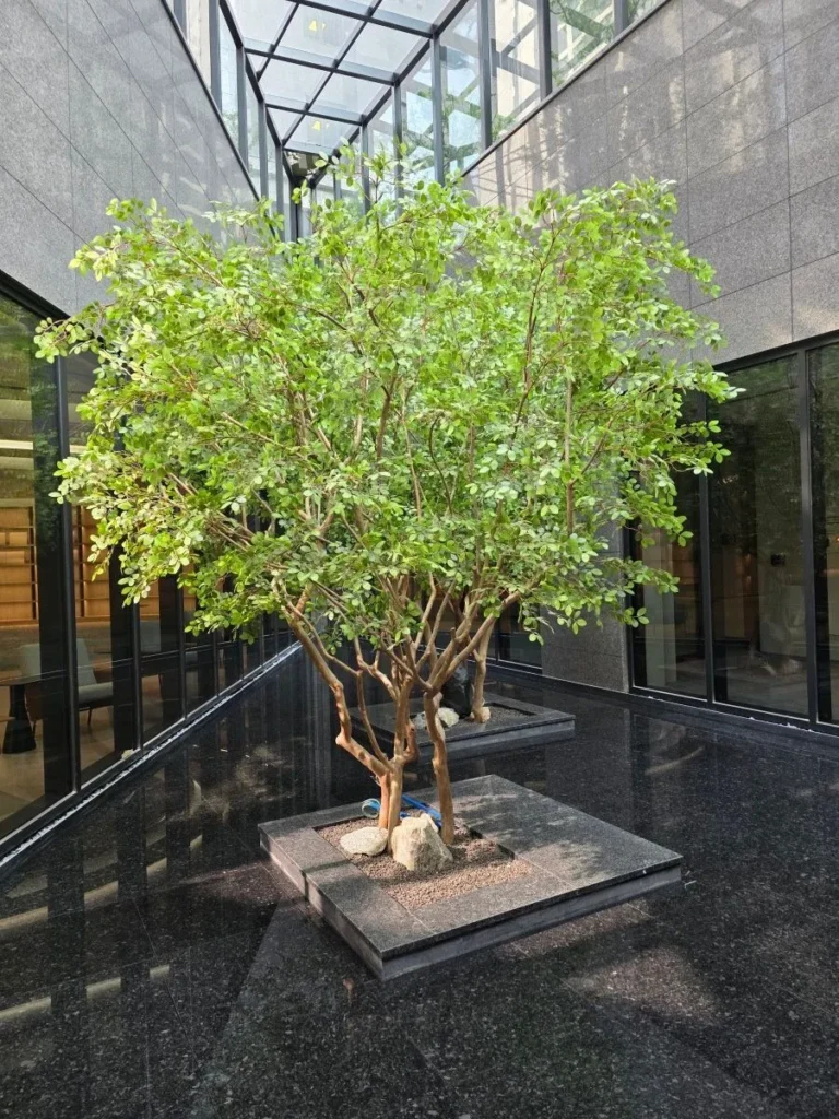 서울 아파트 입주 예정, 커뮤니티 및 조경 사진