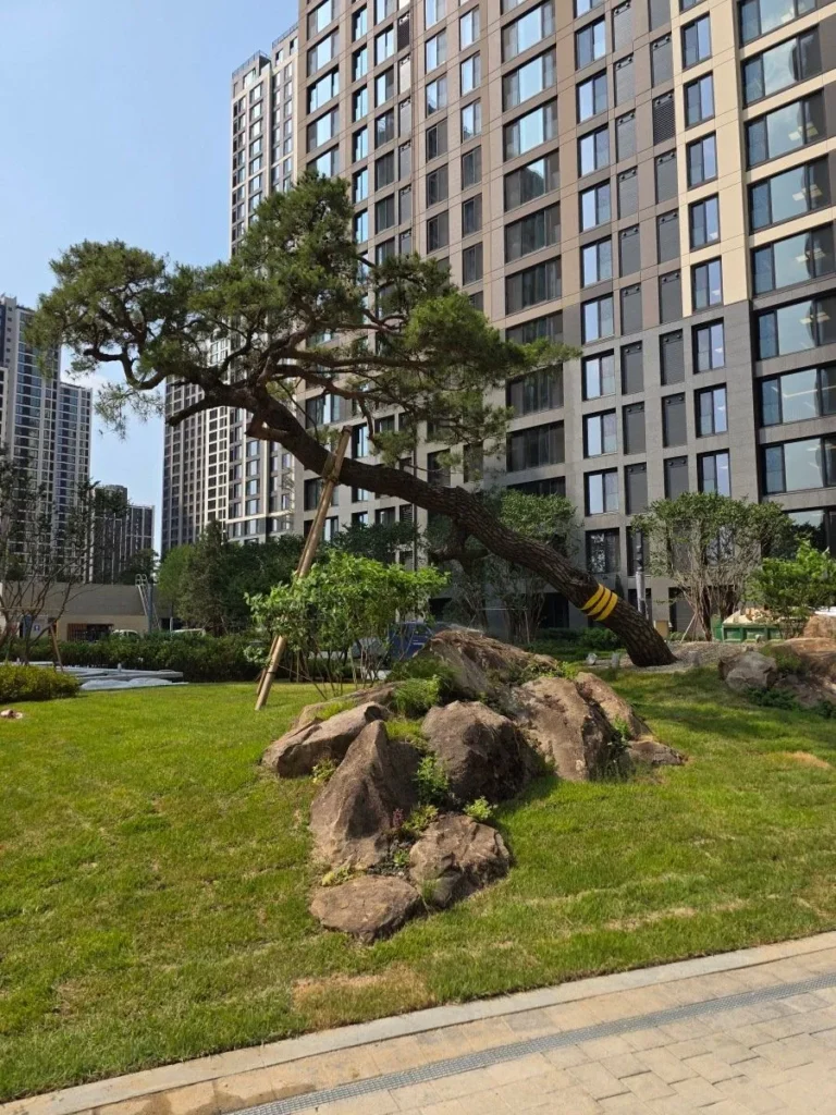 서울 아파트 입주 예정, 커뮤니티 및 조경 사진