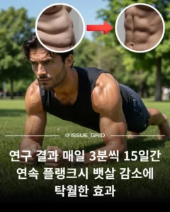 플랭크 운동의 효과