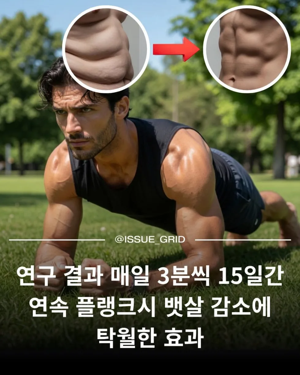 플랭크 운동의 효과