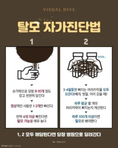나의 탈모 자가 진단 방법