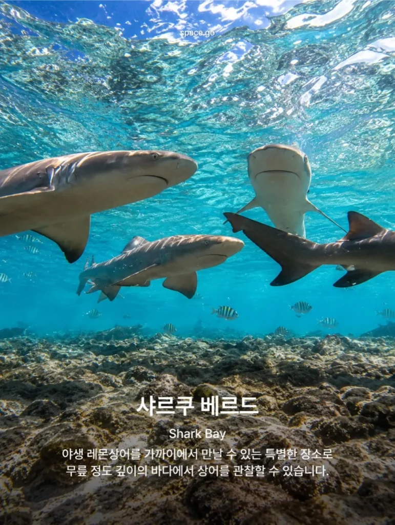 카보베르데 여행지 9곳: 골키퍼 보지냐의 고향