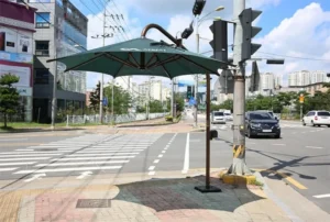 일본에 전파되었다는 한국의 특산품.jpg