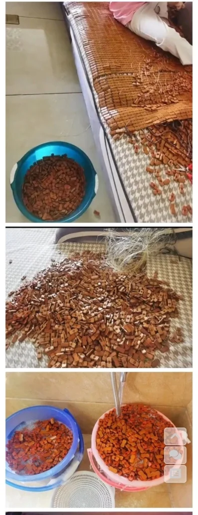 대나무자리, 일반인도 쉽게 셀프 세척하는 법