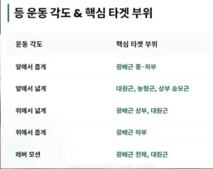 등 근육 강화 위한 5가지 핵심 운동법