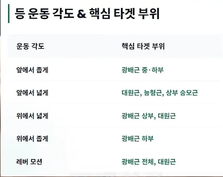 등 근육 강화 위한 5가지 핵심 운동법