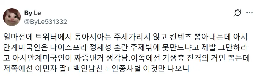 백인 국가 동양인의 삶, 한국인은 이해하기 힘든 현실