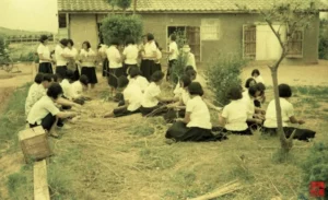 1960년대 학교 여고생들.jpg