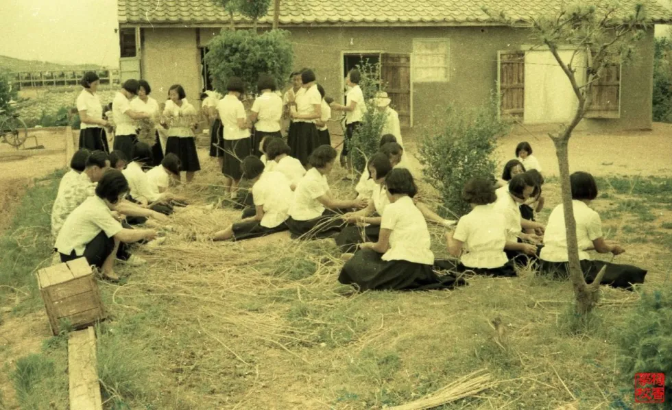 1960년대 학교 여고생들.jpg