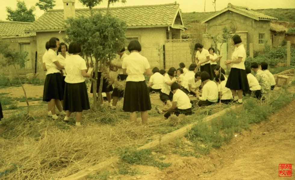 1960년대 학교 여고생들.jpg