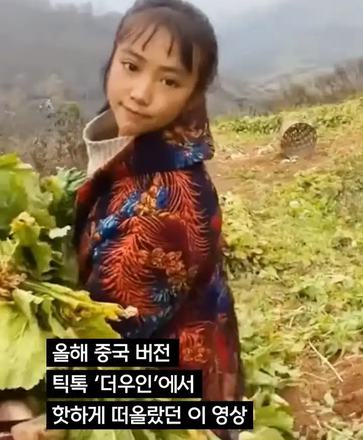 중국 산골처녀 체포, 그 숨겨진 내막