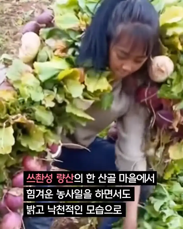 중국 산골처녀 체포, 그 숨겨진 내막
