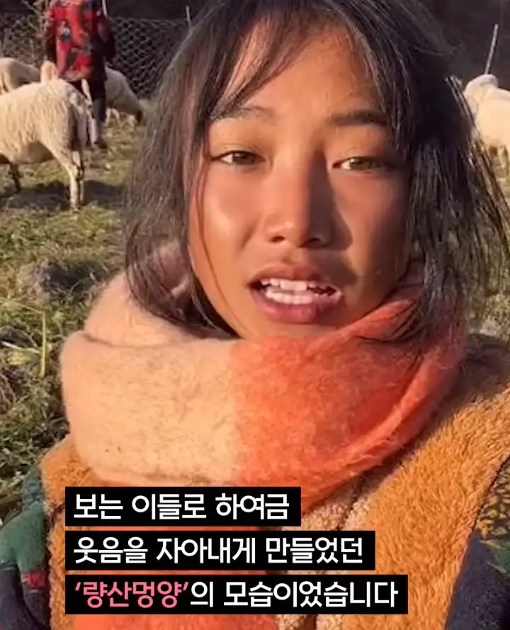중국 산골처녀 체포, 그 숨겨진 내막