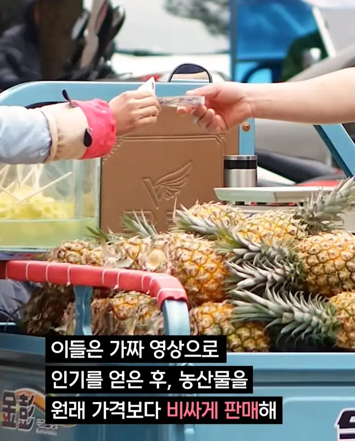 중국 산골처녀 체포, 그 숨겨진 내막