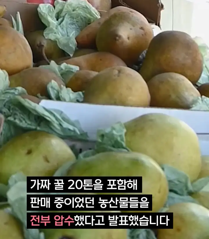중국 산골처녀 체포, 그 숨겨진 내막