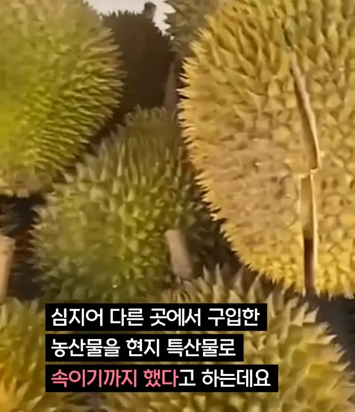 중국 산골처녀 체포, 그 숨겨진 내막
