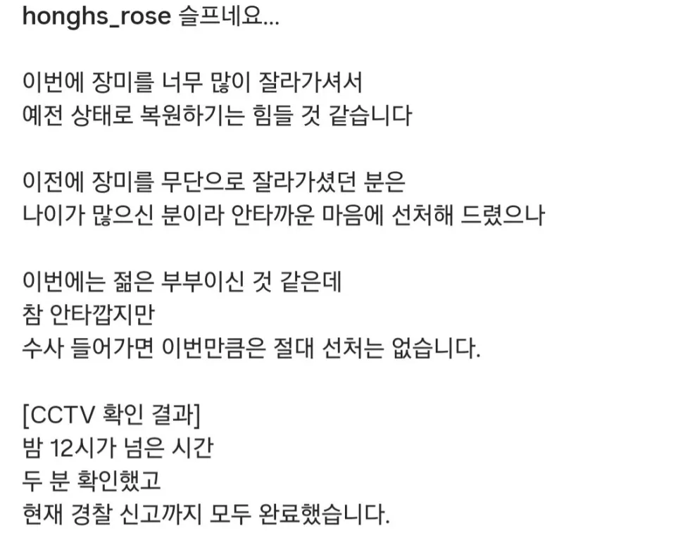 장미 명소에서 꽃 잘라간 60대 남녀 출석통보 소식