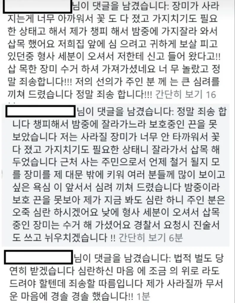 장미 명소에서 꽃 잘라간 60대 남녀 출석통보 소식