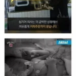 어느 산부인과 의사의 카톡진료